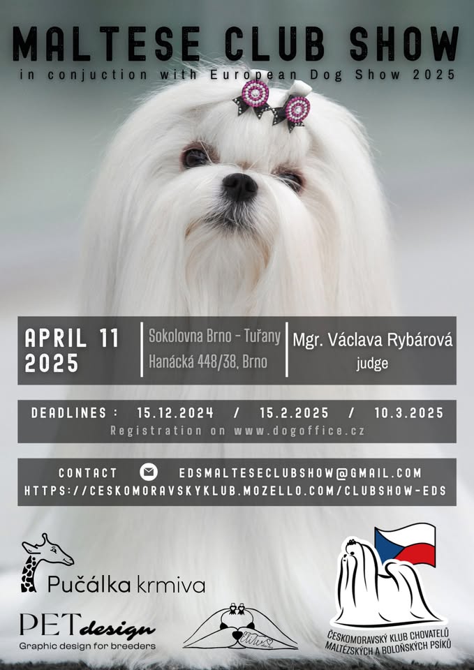 Maltese & Bolognese CLUB show in conjunction with EDS Brno 2025