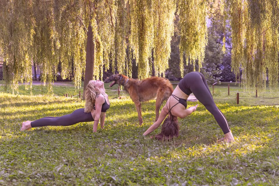 Jógový retreat s Ivanou a Evou na Krásné Samotě