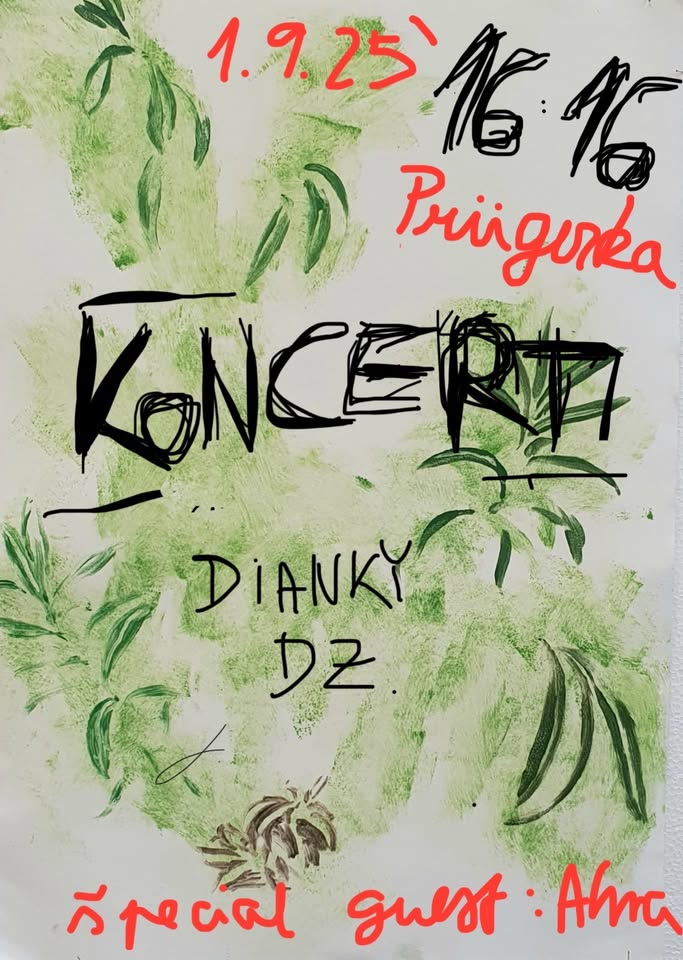 Koncert Dianky Dz.