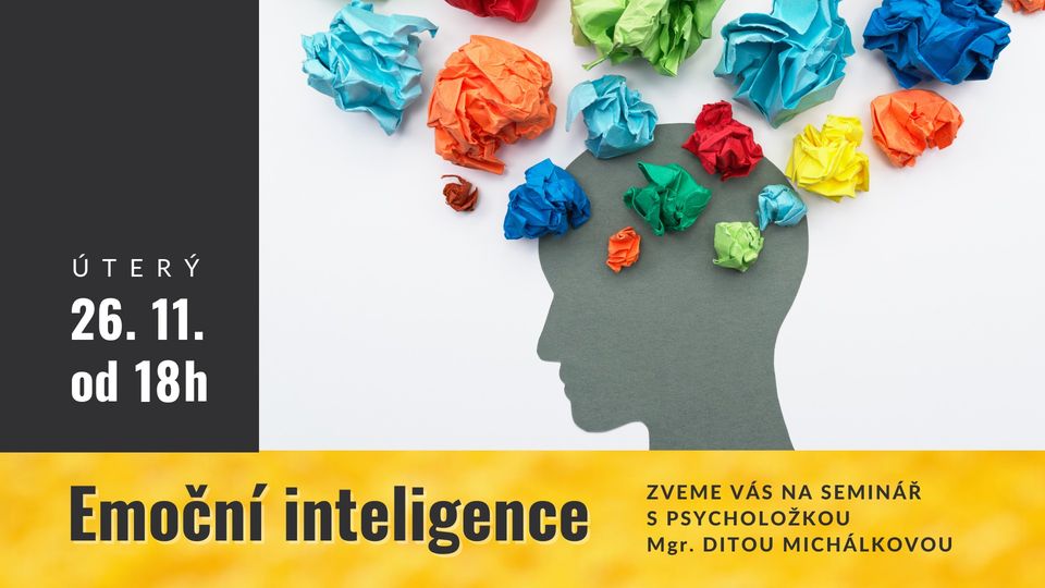 Emoční inteligence