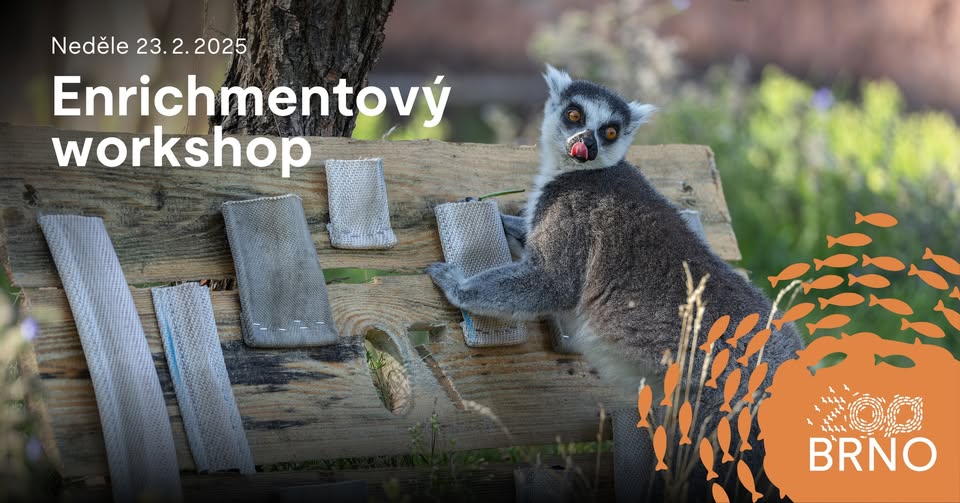 Enrichmentový workshop