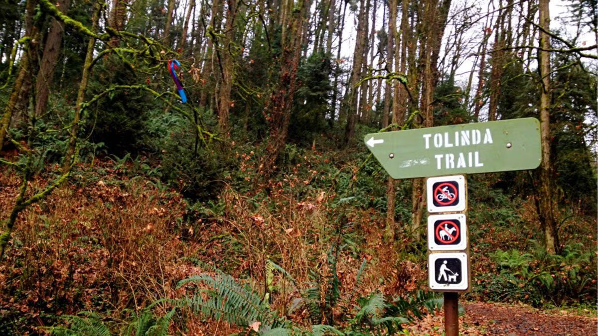 Waterline Tolinda (Trail run in Forest Park)