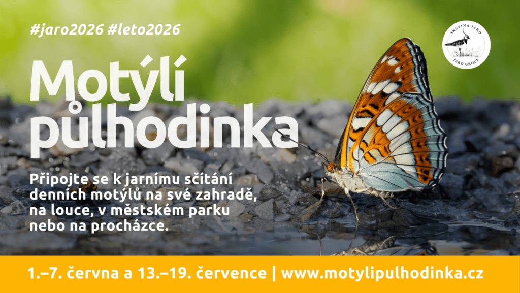 Motýlí půlhodinka - jaro