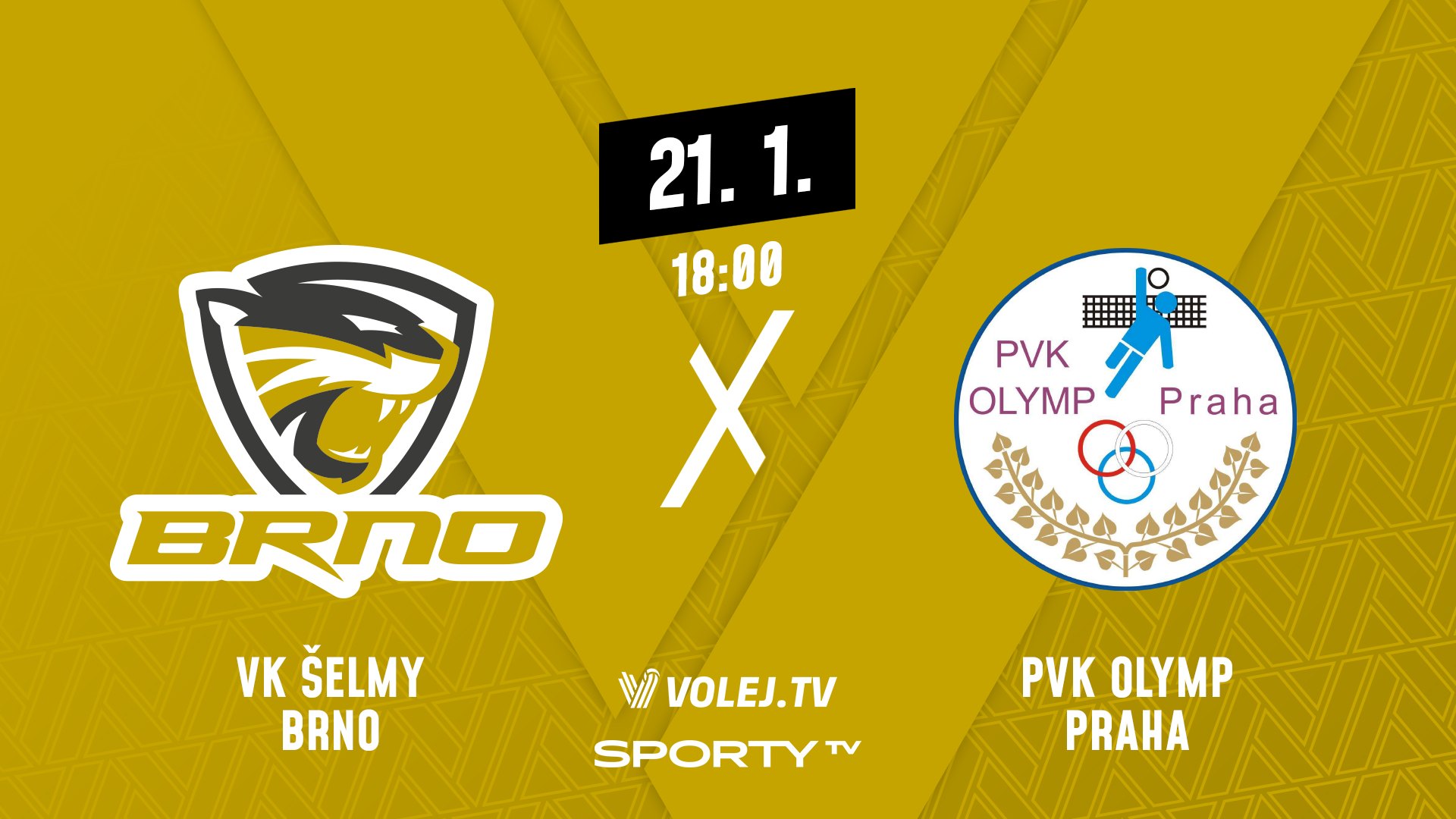 20. kolo DATART volejbalové extraligy: Šelmy - Olymp
