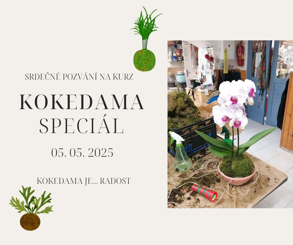KOKEDAMA -speciál