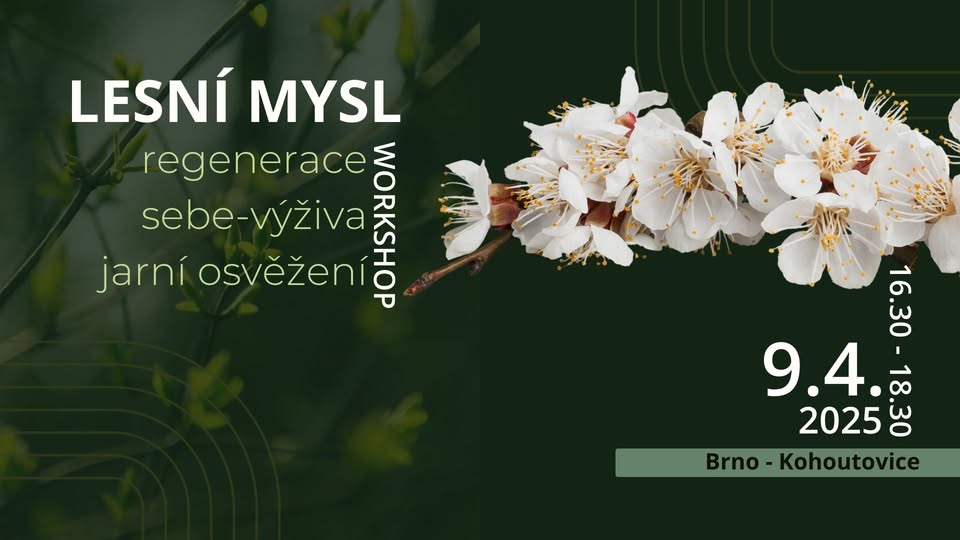 LESNÍ MYSL - jarní osvěžení