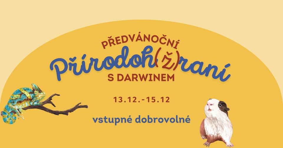 Předvánoční přírodoh(ž)raní