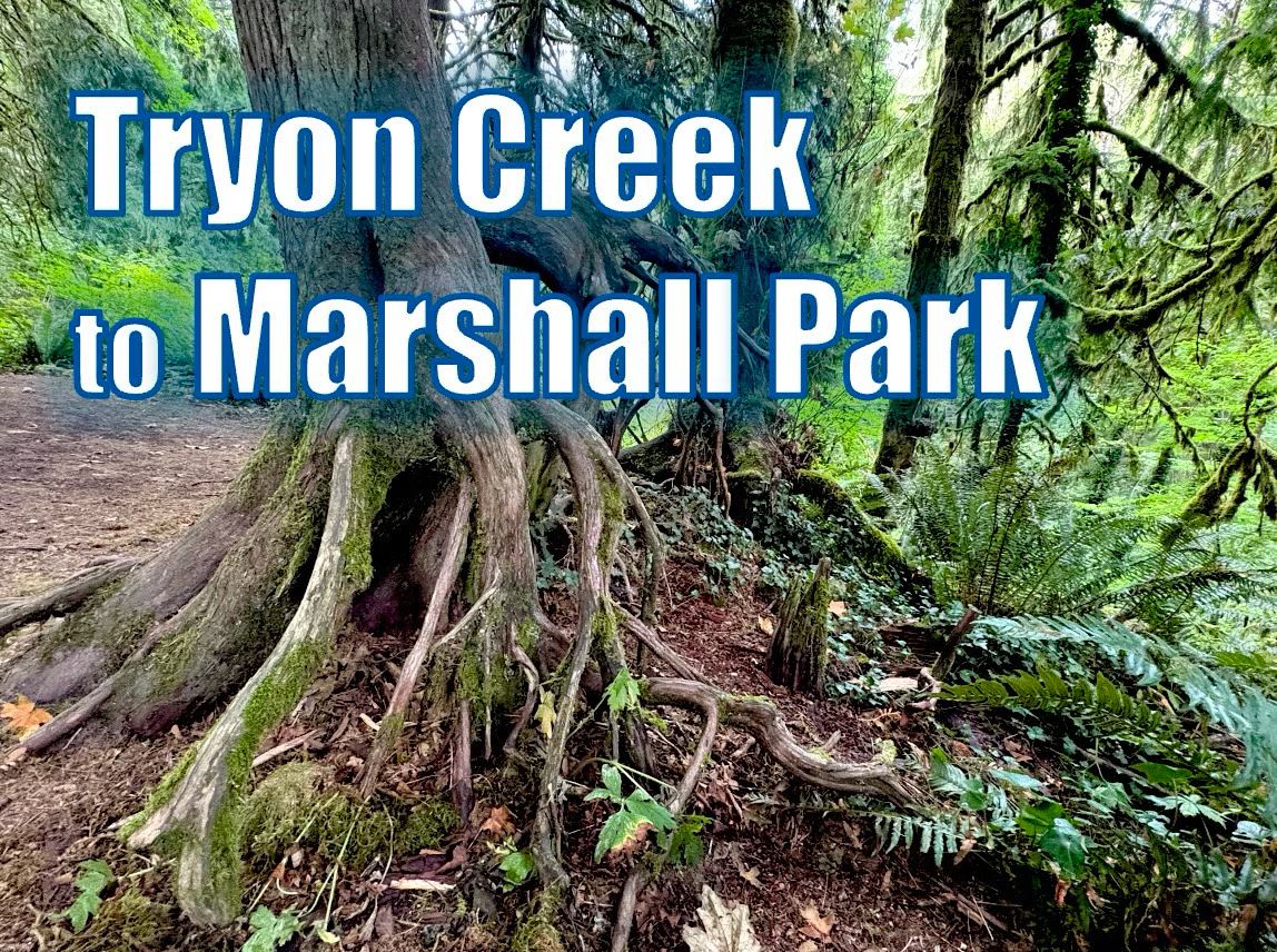 Tryon to Marshall Park!