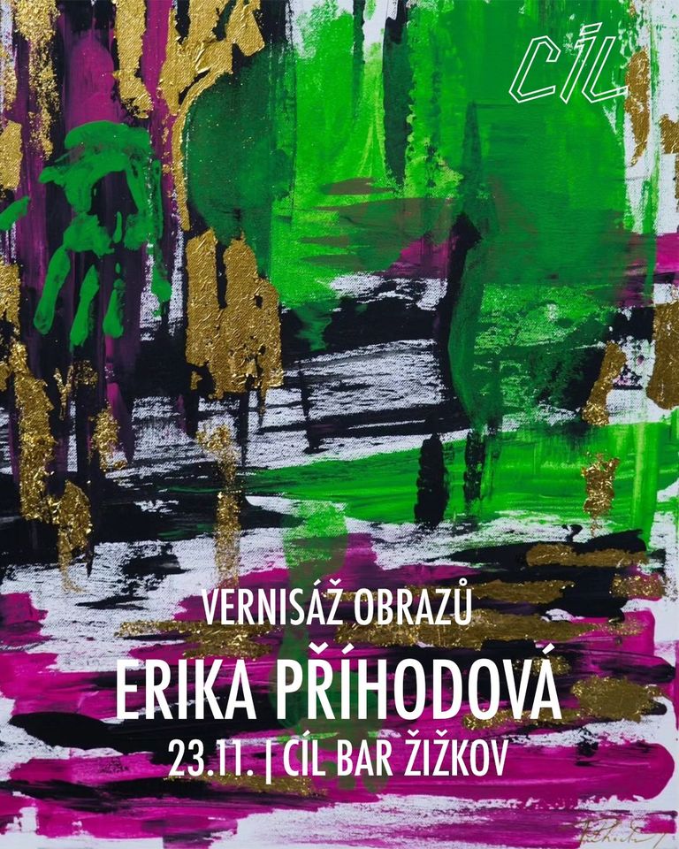 ERIKA PŘÍHODOVÁ | vernisáž obrazů @CÍL BAR ŽIŽKOV