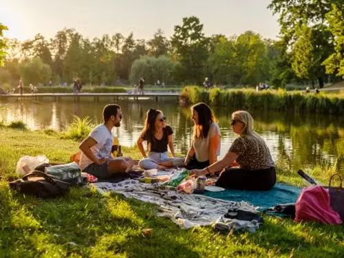 🌳 Piknik ve Stromovce s hudbou, cvičením a pohodou 😂