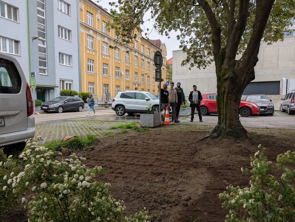 Zakladanie kvitnúcej lúky na Račianskej