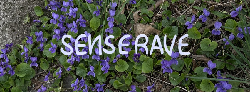 𖣂 SENSERAVE 03. 𖣂 pohybové zdieľanie