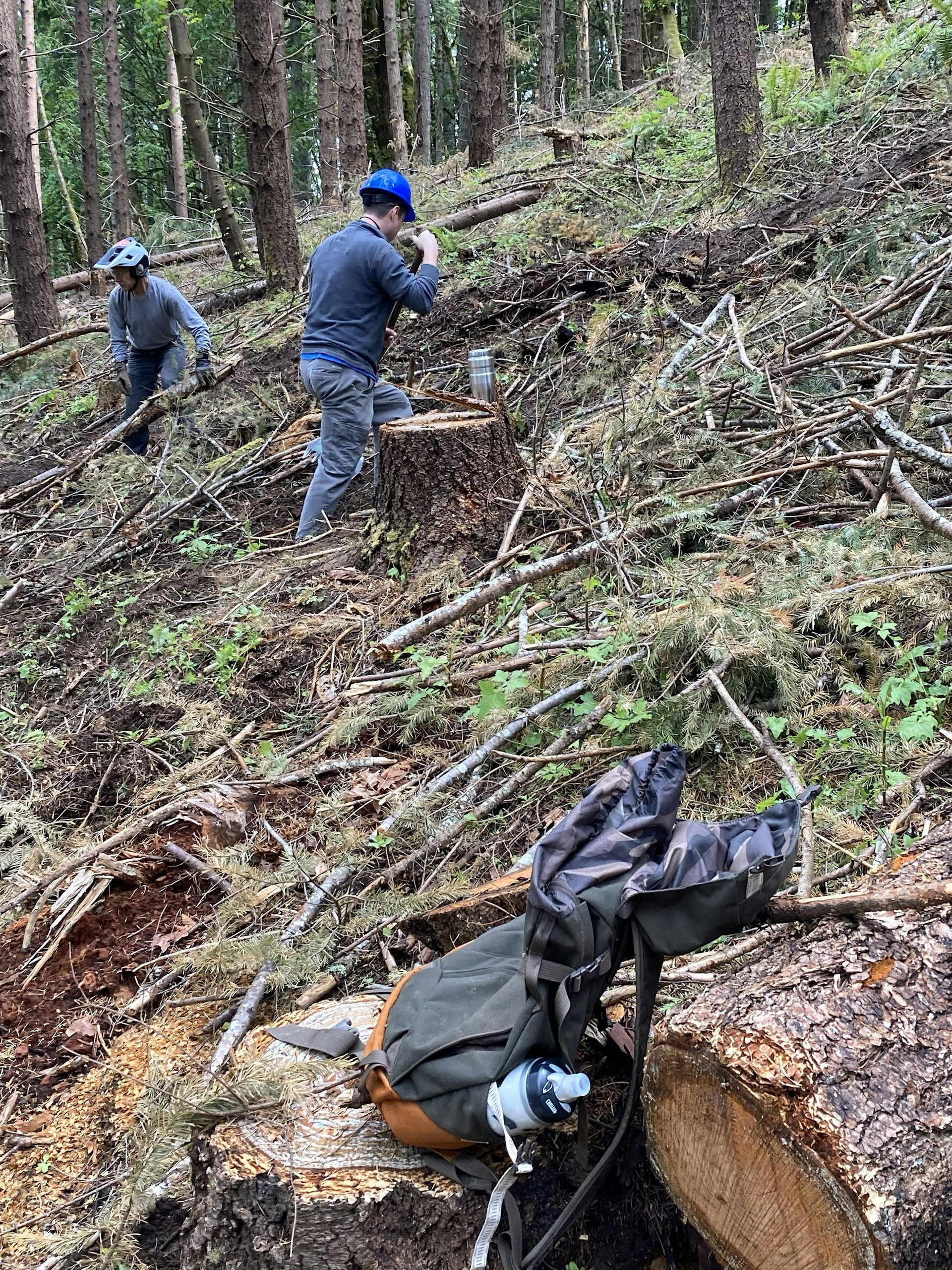 Stub Trail Restoration Day: 02/08