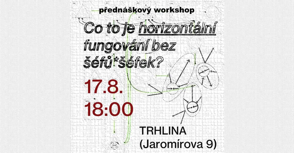 Co je horizontální fungování bez šéfů*šéfek?