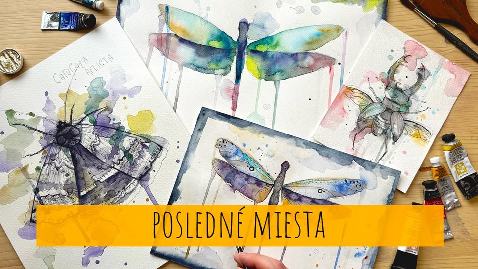 Miniworkshop Akvarel - Vážky a chrobáčiky (6+) (POSLEDNÉ MIESTA)