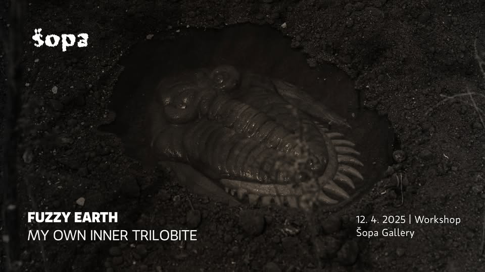 My Own Inner Trilobite workshop w/ Fuzzy Earth