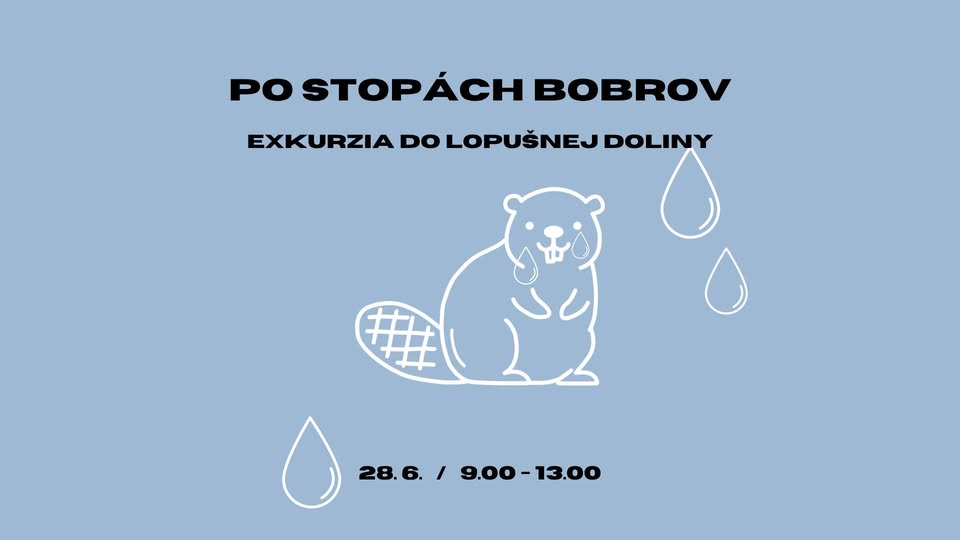 Po stopách bobrov 🦫/ Exkurzia do Lopušnej doliny