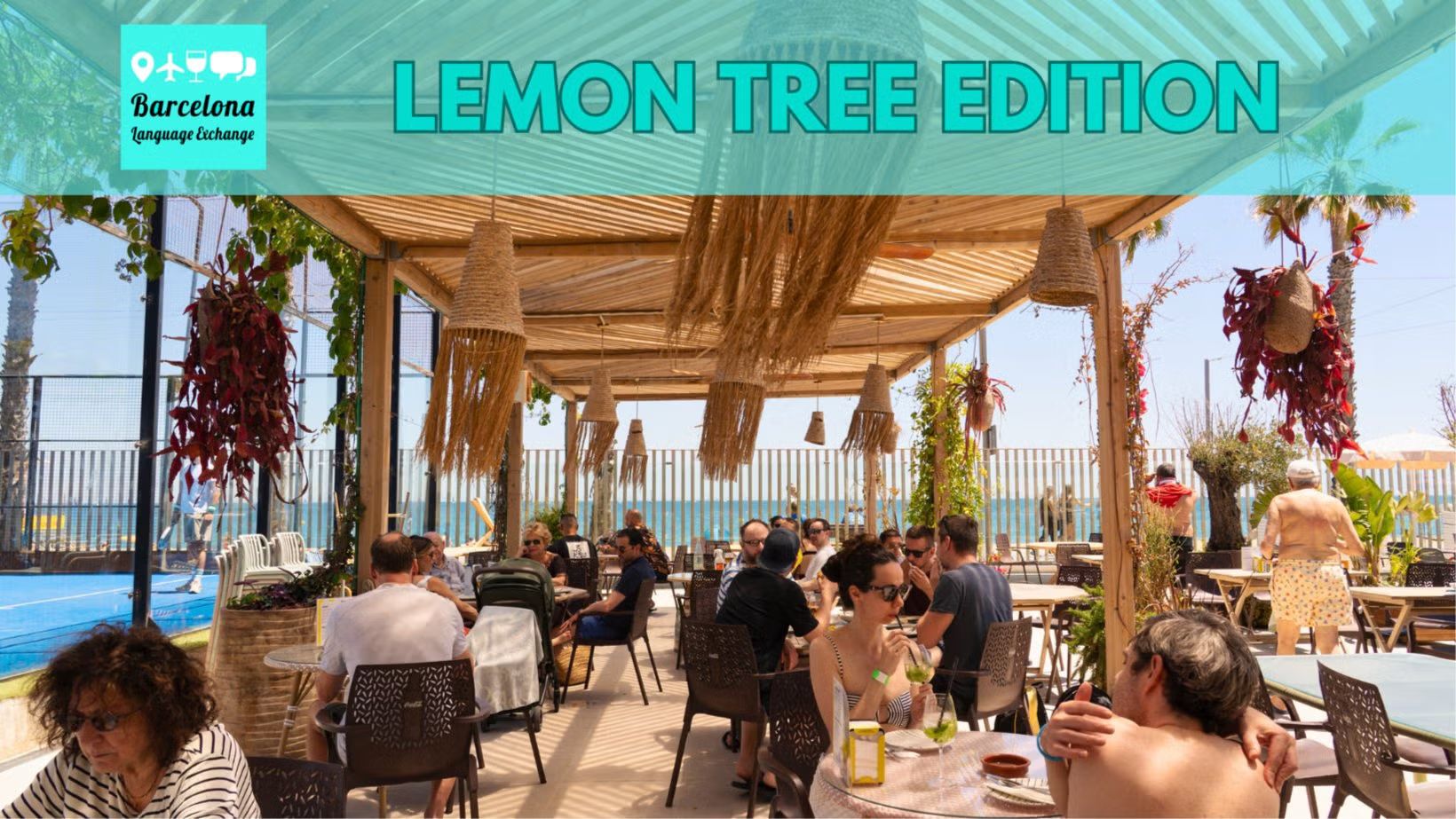 The Friday Language Exchange - Lemon Tree