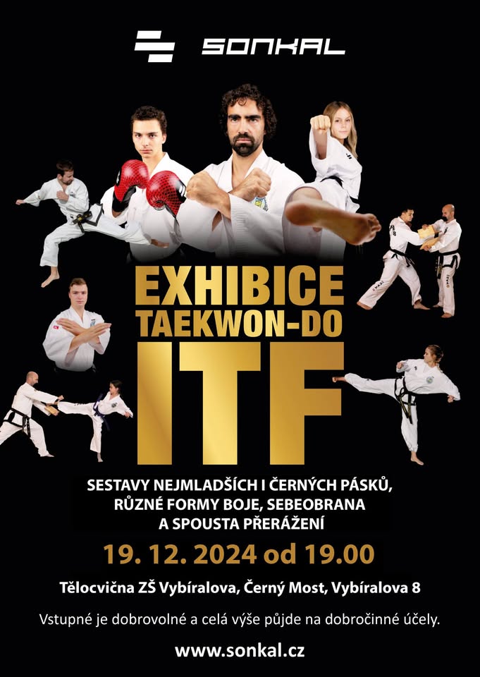 Vánoční exhibice Sonkalu