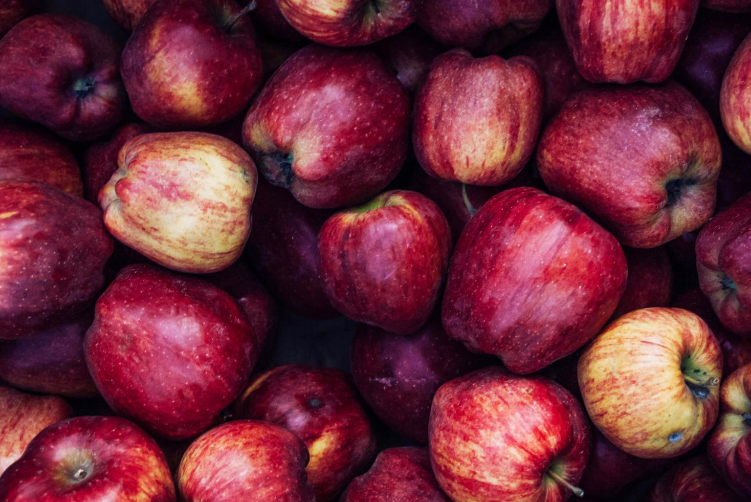 Mabon – Rovnodennost a jablečné čarování s Lídou Lupačovou