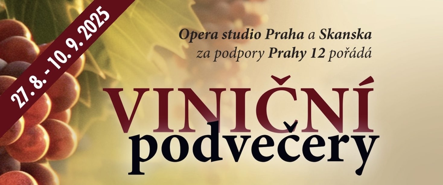 🎶🍇 Vokál klub zpívá na Viničních podvečerech