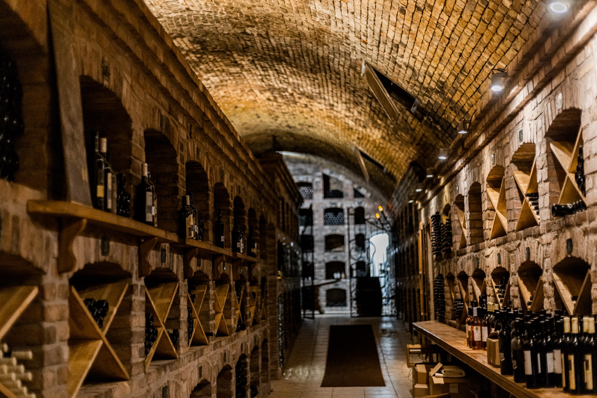 Bratislava┃Oxbridge + Ivy League Formal Dinner