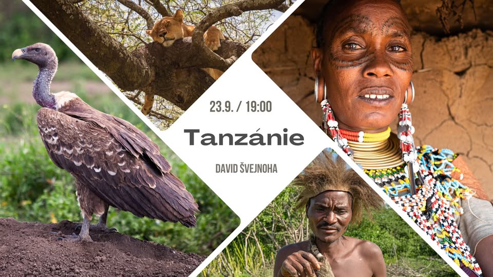 Tanzanie - David Švejnoha