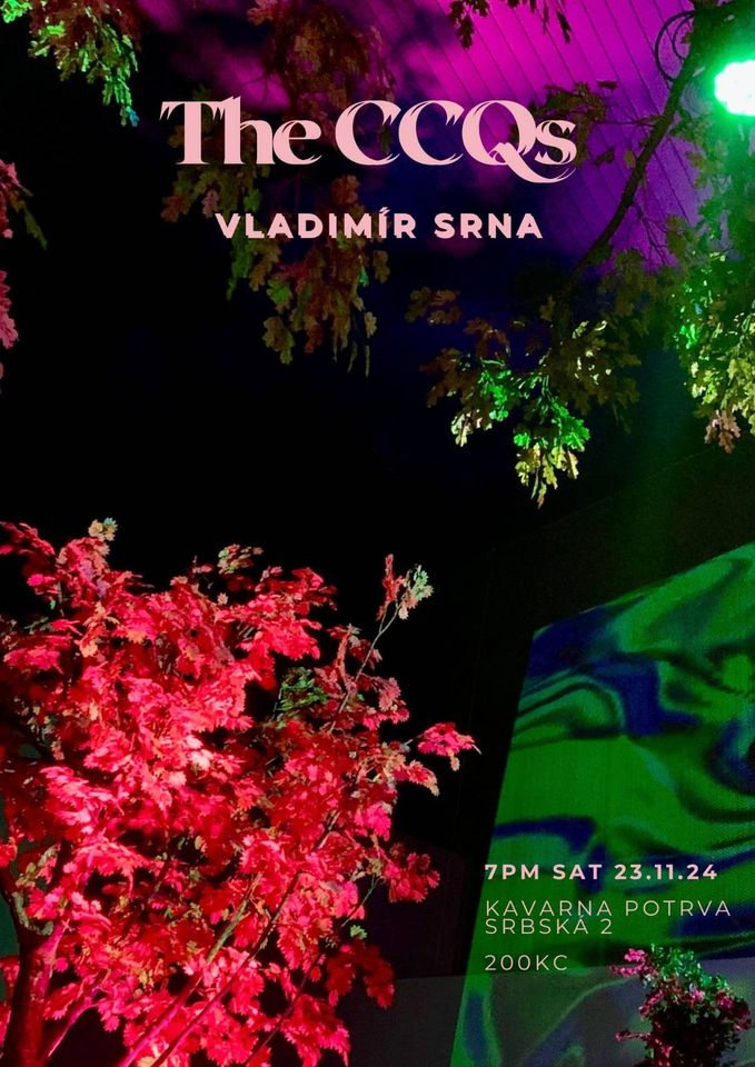The CCQs & Vladimír Srna