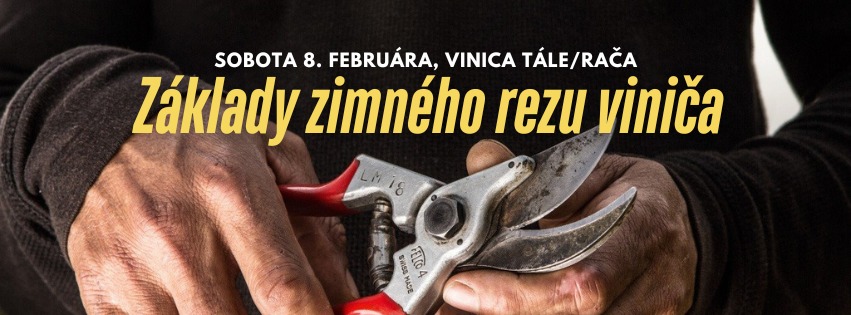 Základy zimného rezu viniča