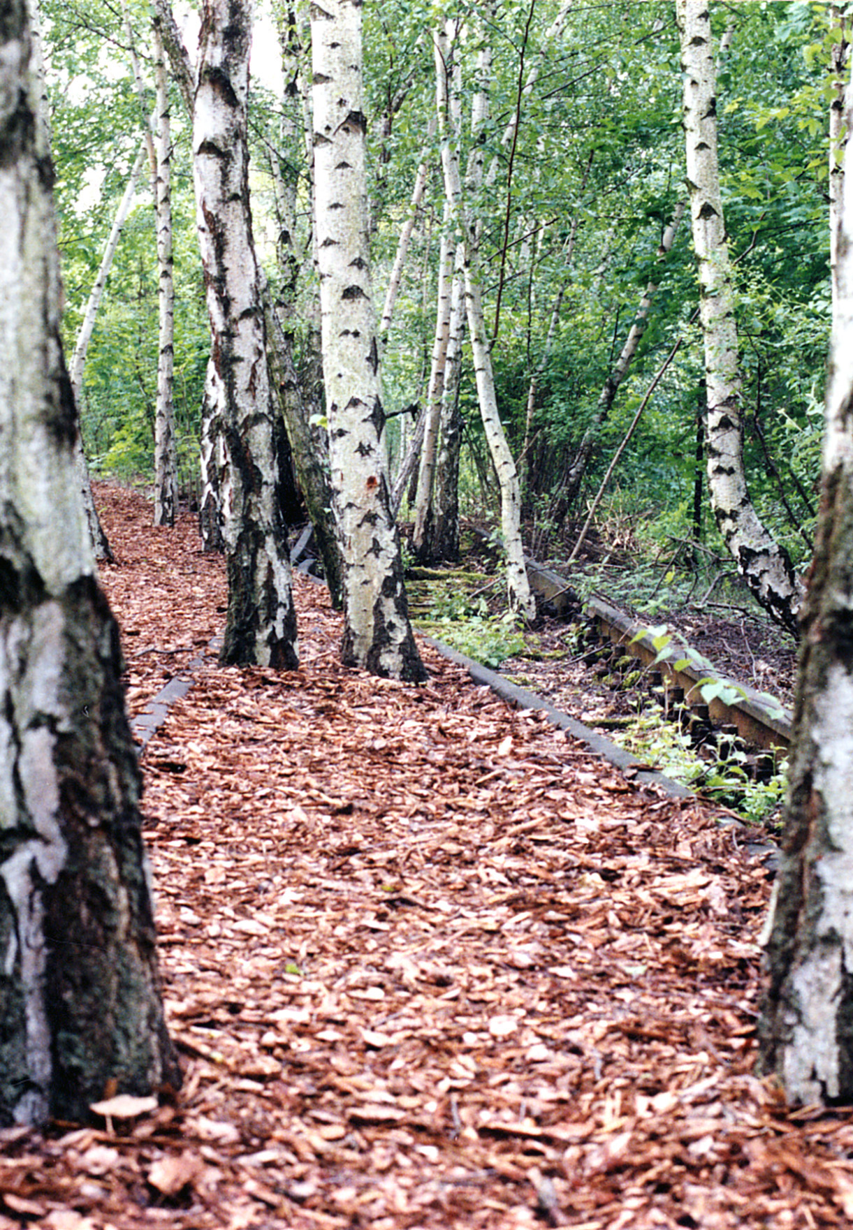Bahnbrechende Natur im März