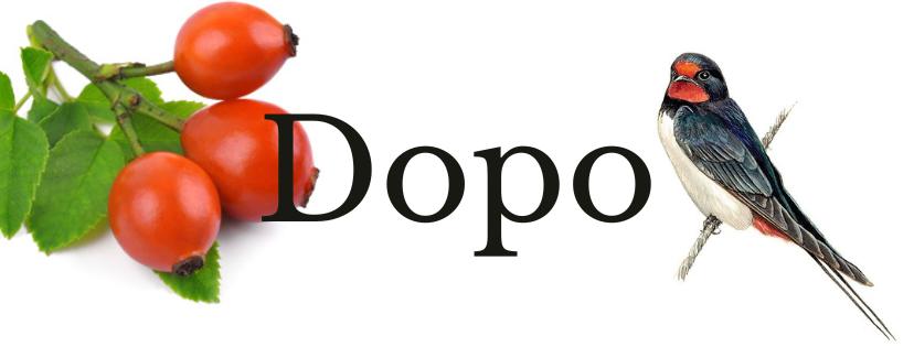 Dopolední setkání v Písečníku- šípek a vlaštovky