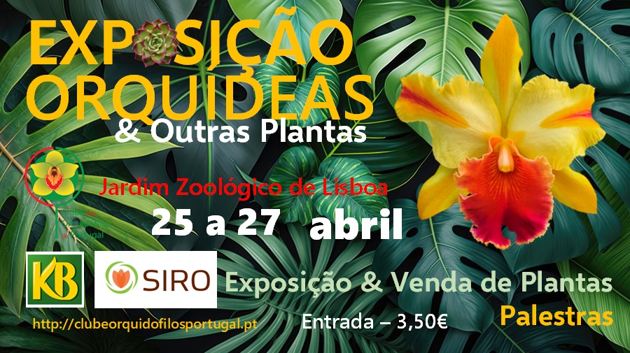 Exposição Orquídeas e Outras Plantas