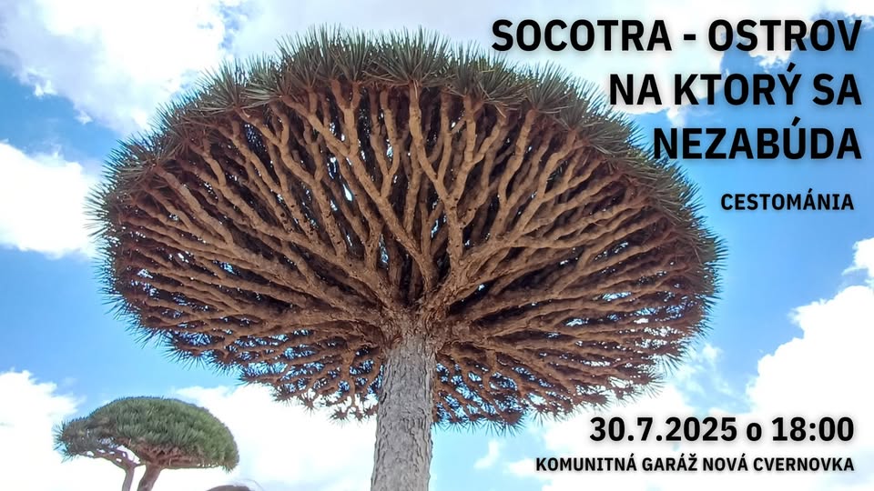 Socotra - Ostrov, na ktorý sa nezabúda | Cestománia