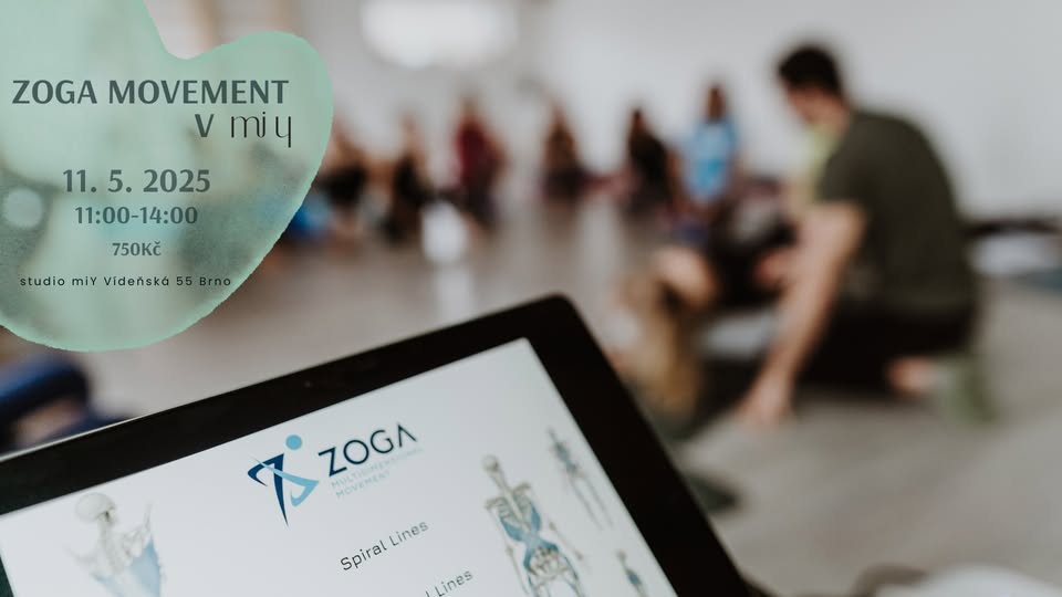 ZOGA MOVEMENT V miY
