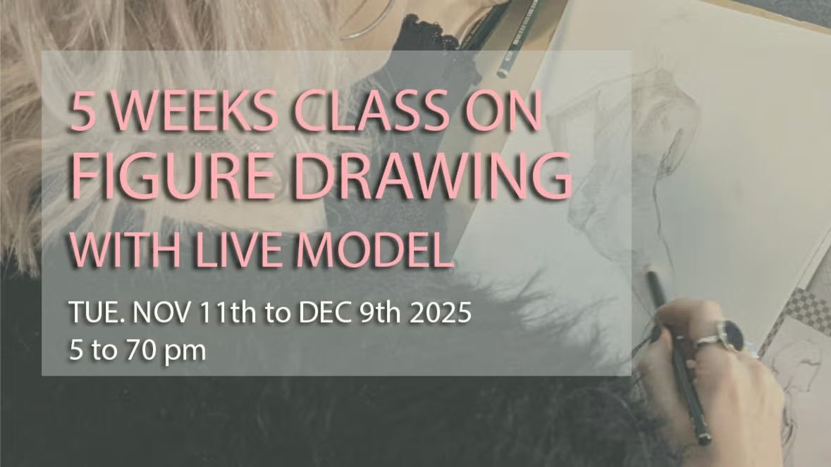 5 WEEKS CLASS ON FIGURE DRAWING  for beginners