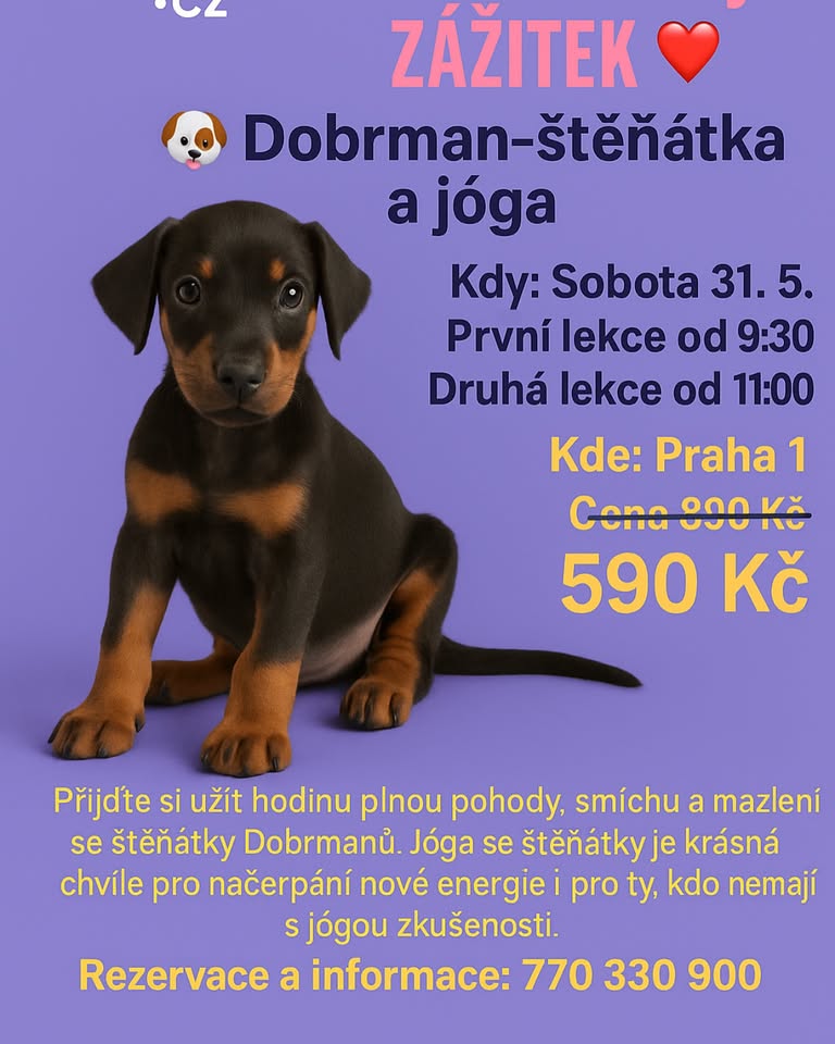 Jóga se štěňátky DOBRMANA