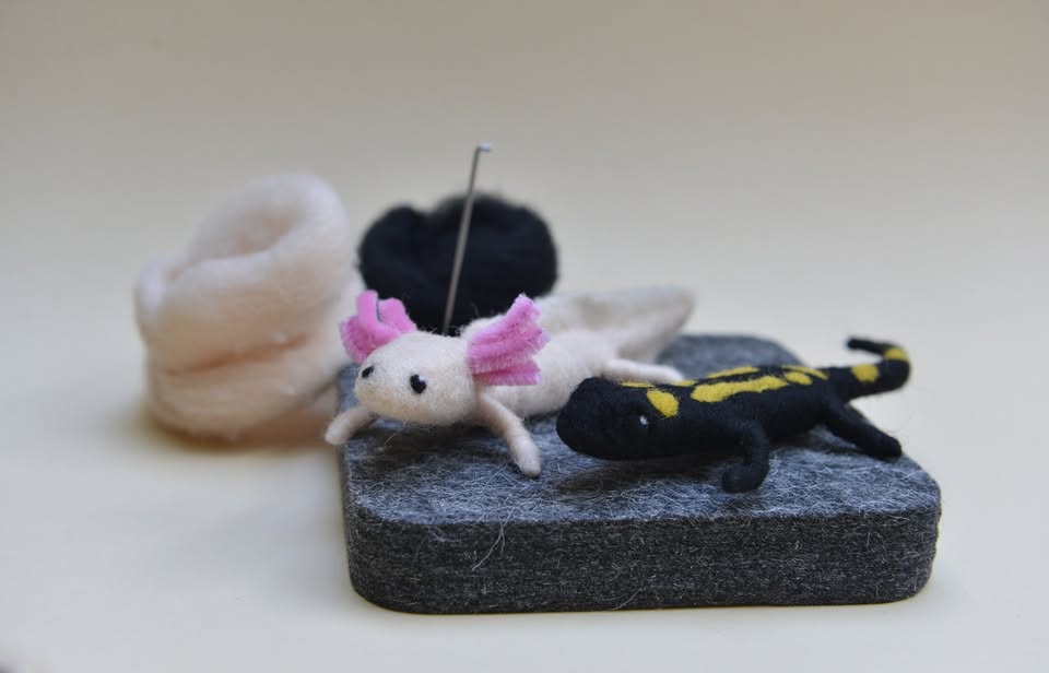 Kurz plstenia: Mloky - axolotl a salamandra