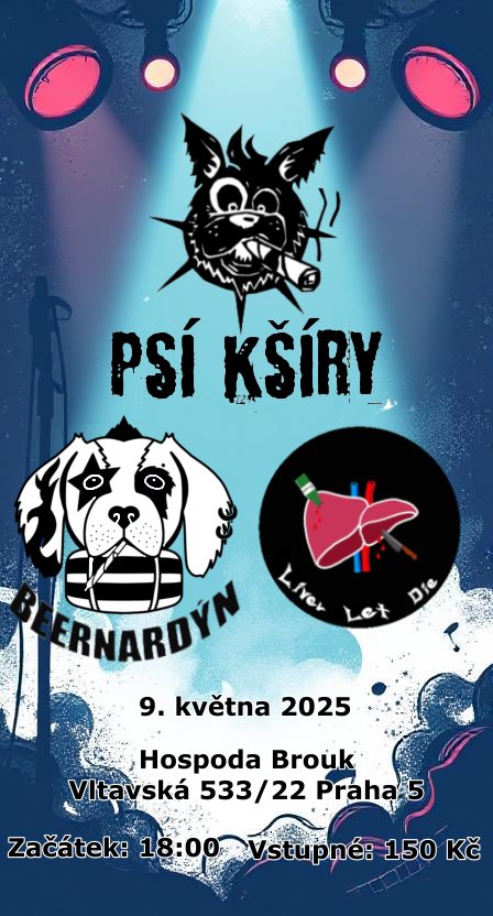 Páteční Punk v Broukovi