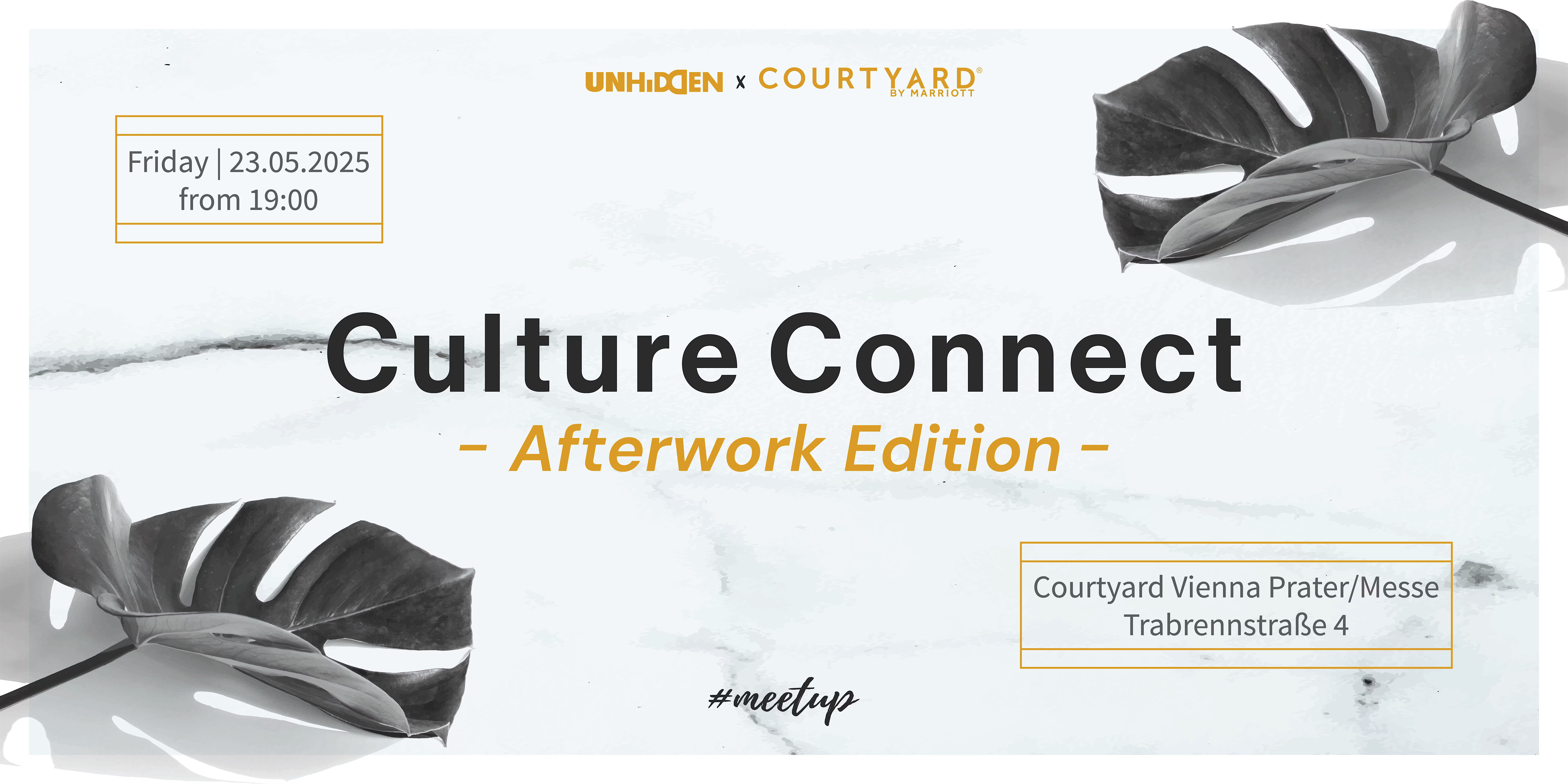 Culture Connect - Afterwork Edition