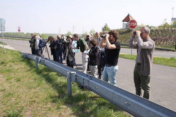 Cyklovýlet Dunajské ostrovy