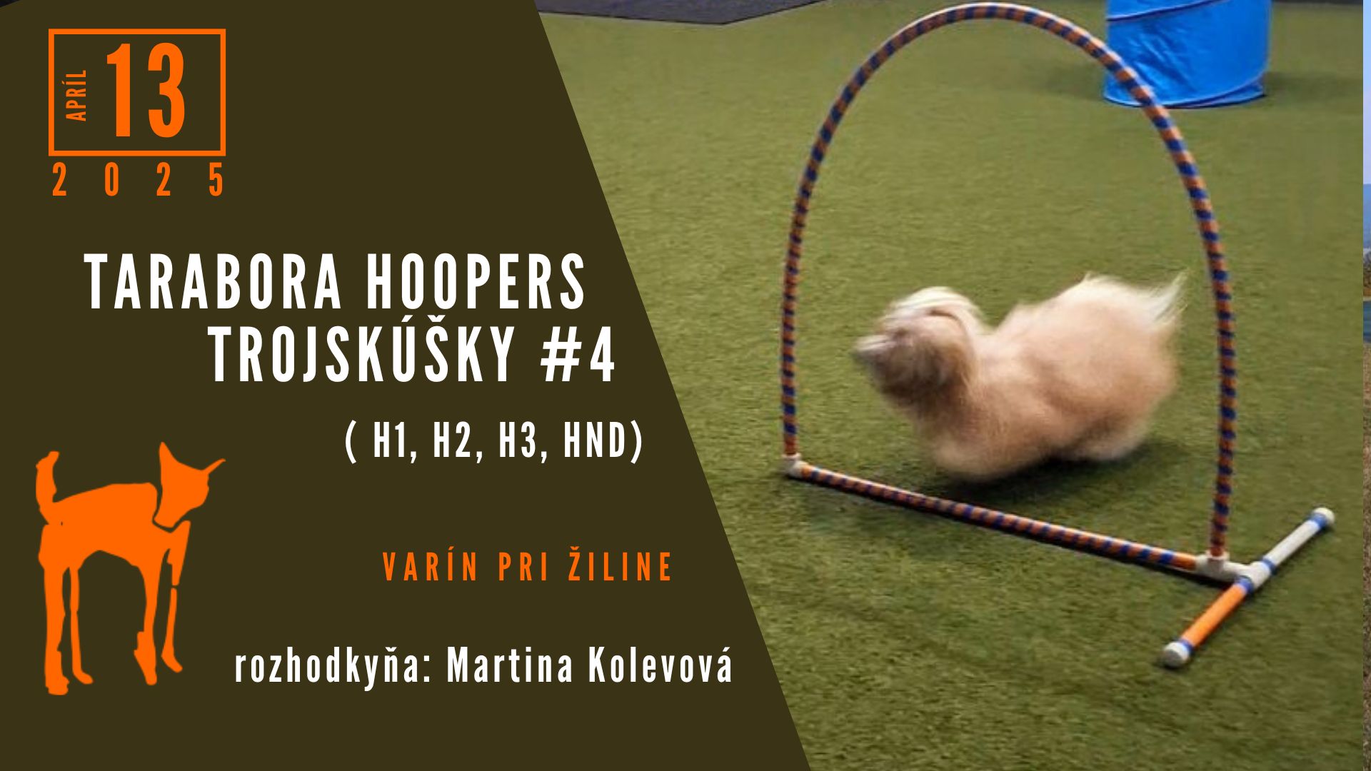 Tarabora hoopers trojskúšky #4