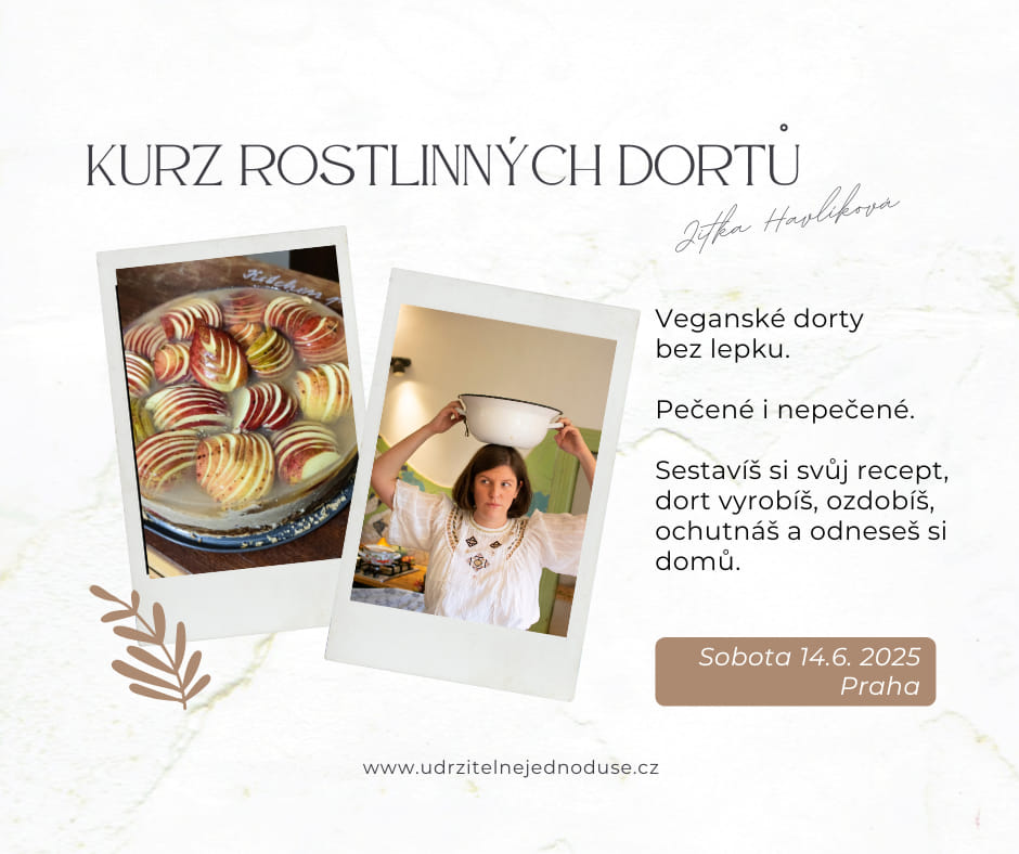_-° Kurz rostlinných dortů °-_