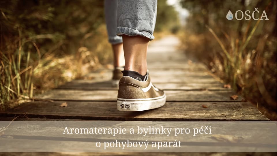 Aromaterapie a bylinky pro péči o pohybový aparát