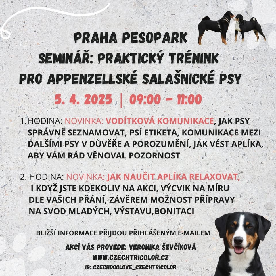 Seminář: praktický trénink pro APZ Pesopark Praha