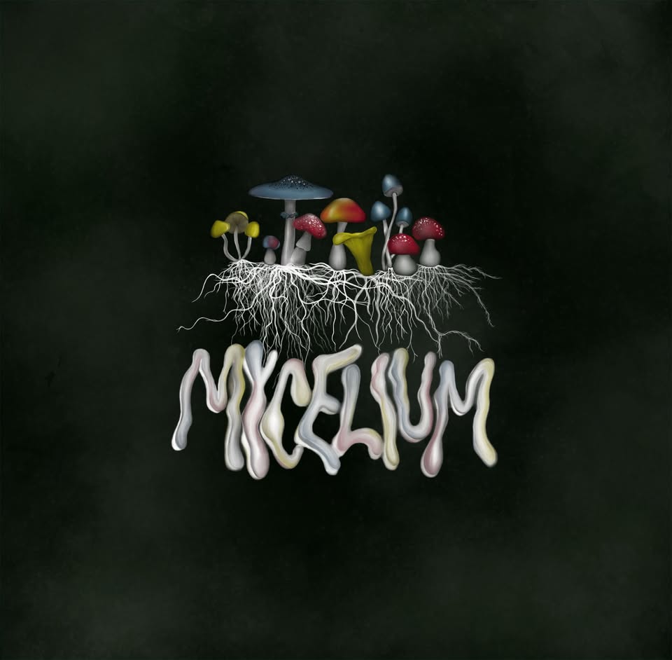 Sítko 2025: MYCELIUM