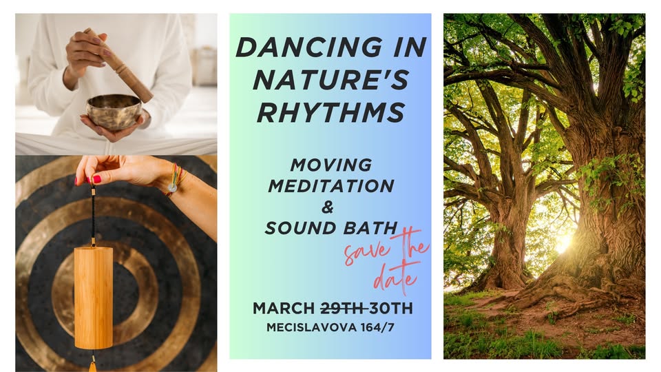 🌳 DANCING IN NATURE'S RHYTHMS 🌳 : Moving Meditation & Sound Bath