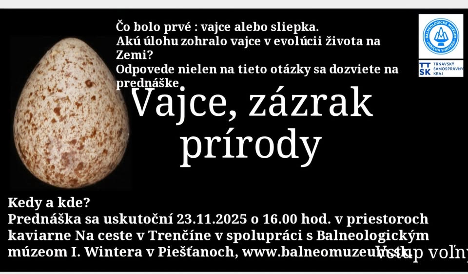 Vajce, zázrak prírody