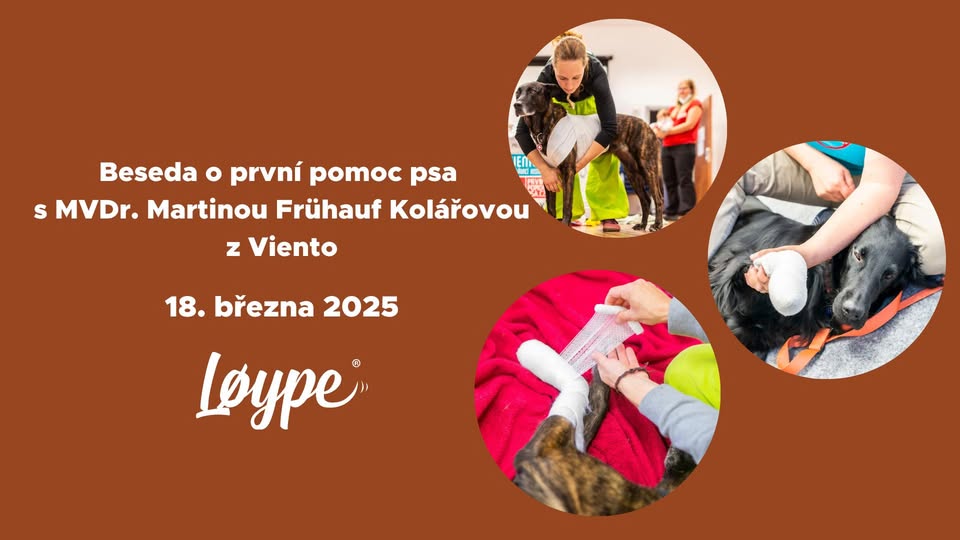 Beseda: První pomoc psa s MVDr. Martinou Frühauf Kolářovou
