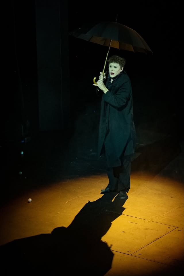 RADIM VIZVÁRY: Mime on the Moon