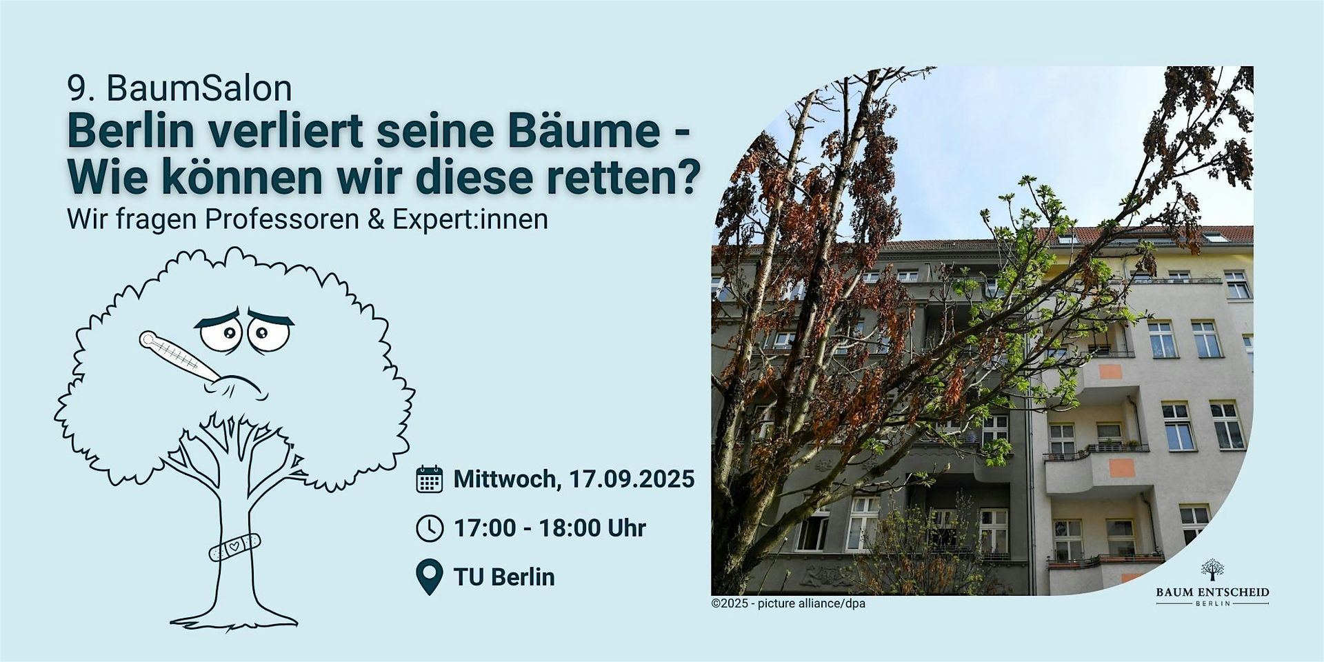 Berlin verliert seine Bäume - Wie können wir diese retten?